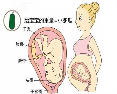 代孕最新技术_胎儿在肚子里怎么呼吸