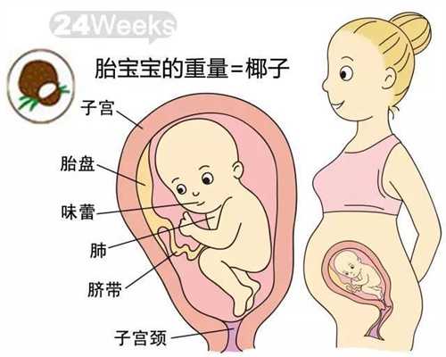 代孕最新技术_胎儿在肚子里怎么呼吸