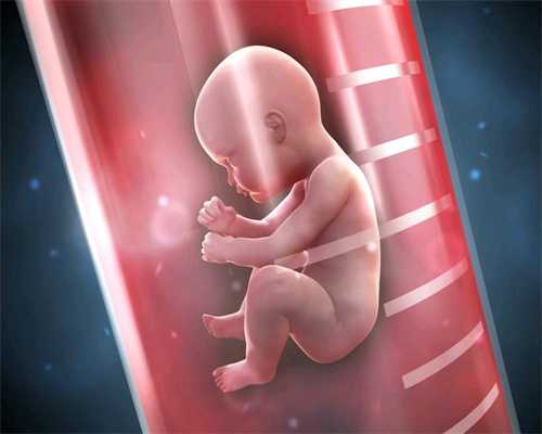 代孕微信_胚胎在子宫活动的吗